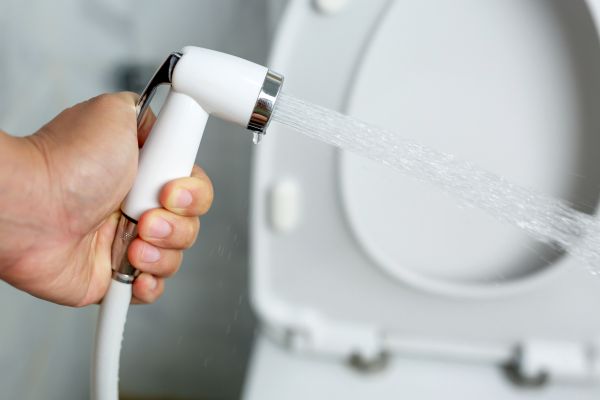 Cost of Bidet Installation in Palmdale