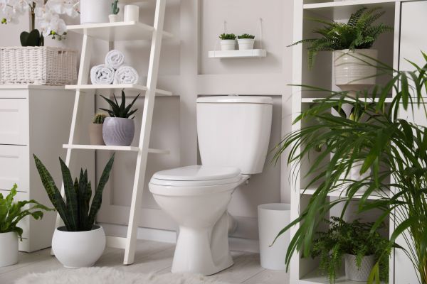 Cost of Toilet Repair in Palmdale
