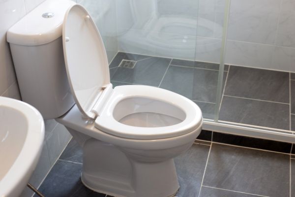 Cost of Toilet Replacement in Palmdale