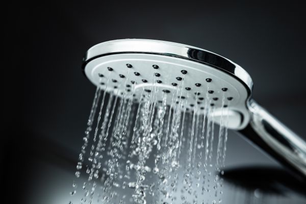 Cost of Shower Head Replacement in Palmdale