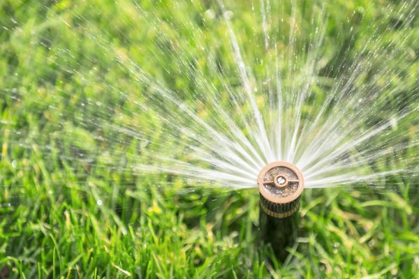 Cost of Spigot Installation in Palmdale