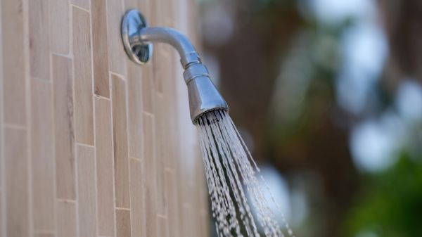 Cost of Showerhead Repair in Palmdale