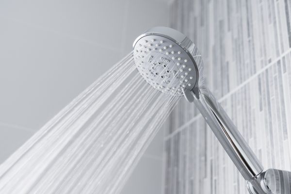 Cost of Showerhead Replacement in Palmdale