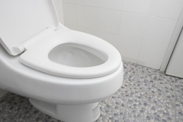 Cost of New Toilet Installation in Palmdale